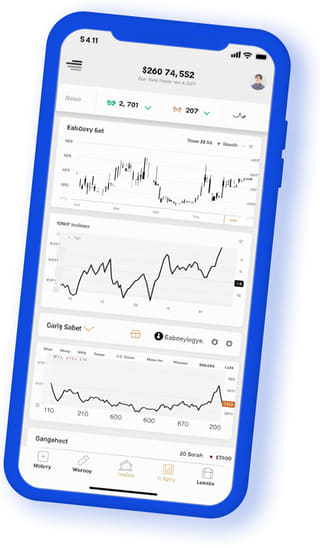Halcon Invernio digital web application on mobile device